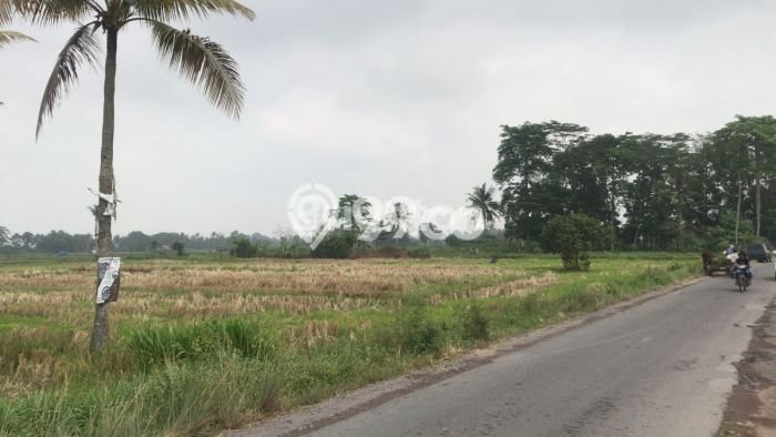 Tanah Dijual Lokasi Jati Agung, Lampung Selatan dengan Luas Tanah 8000m2 dan Status SHM Tanah Dijual Lokasi Jati Agung, Lampung Selatan dengan Luas Tanah 8000m2 dan Status SHM