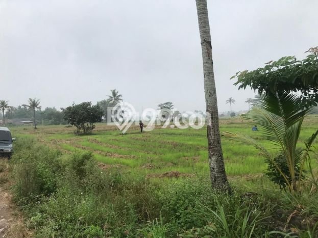 Tanah Dijual Lokasi Jati Agung, Lampung Selatan dengan Luas Tanah 8000m2 dan Status SHM Tanah Dijual Lokasi Jati Agung, Lampung Selatan dengan Luas Tanah 8000m2 dan Status SHM