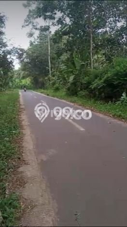 Tanah Dijual Lokasi Natar, Lampung Selatan Luas 13363m2 Legalitas Aman Tanah Dijual Lokasi Natar, Lampung Selatan Luas 13363m2 Legalitas Aman