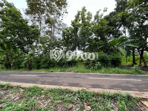 Tanah Dijual Lokasi Natar, Lampung Selatan Luas 13363m2 Legalitas Aman Tanah Dijual Lokasi Natar, Lampung Selatan Luas 13363m2 Legalitas Aman