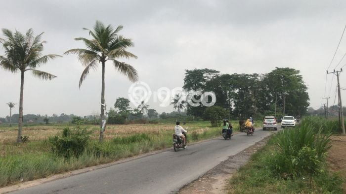 Tanah Dijual Lokasi Jati Agung, Lampung Selatan dengan Luas Tanah 8000m2 dan Status SHM Tanah Dijual Lokasi Jati Agung, Lampung Selatan dengan Luas Tanah 8000m2 dan Status SHM