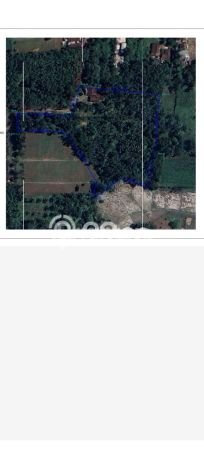 Tanah Dijual Lokasi Natar, Lampung Selatan Luas 13363m2 Legalitas Aman Tanah Dijual Lokasi Natar, Lampung Selatan Luas 13363m2 Legalitas Aman