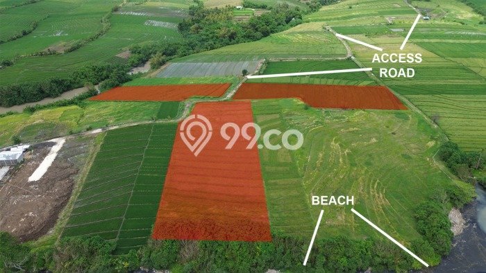 Lahan Strategis di Tabanan Dijual dengan Luas 17000m2 Lahan Strategis di Tabanan Dijual dengan Luas 17000m2