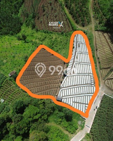 Lahan Kosong Dijual di Batu dengan Area 2919m2 Lahan Kosong Dijual di Batu dengan Area 2919m2