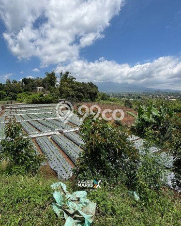 Lahan Kosong Dijual di Batu dengan Area 2919m2 Lahan Kosong Dijual di Batu dengan Area 2919m2