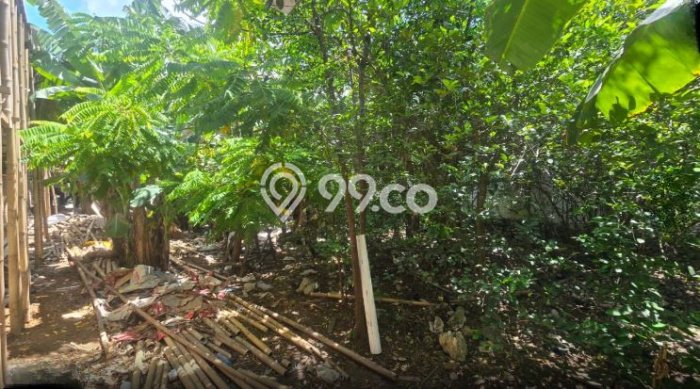 Lahan Investasi Lokasi Tamalanrea Makassar SHM Lahan Investasi Lokasi Tamalanrea Makassar SHM