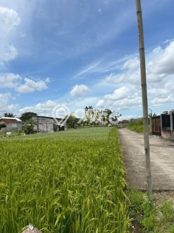 Tanah Dijual Area Strategis di Maguwoharjo Yogyakarta 560m2 Tanah Dijual Area Strategis di Maguwoharjo Yogyakarta 560m2