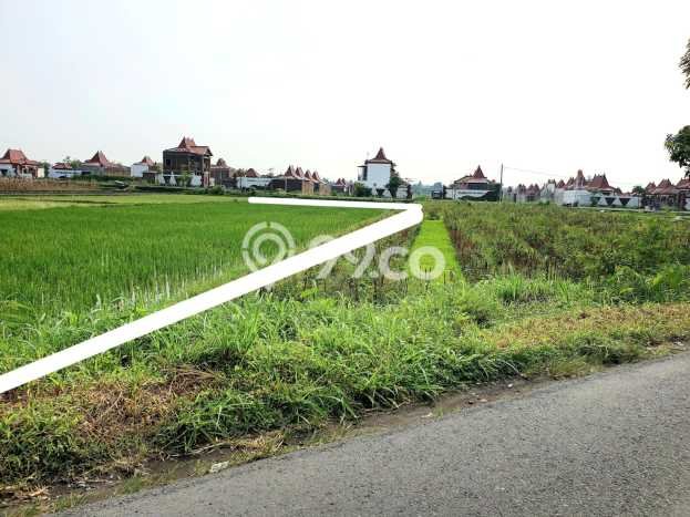Lahan Kosong Dijual di Klaten dengan Area 2300m2 Lahan Kosong Dijual di Klaten dengan Area 2300m2