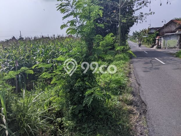 Lahan Kosong Dijual di Klaten dengan Area 2300m2 Lahan Kosong Dijual di Klaten dengan Area 2300m2