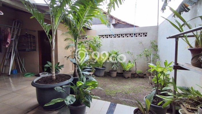 Dijual Rumah 3 Kamar Lokasi Ideal Bagus dan Strategis di Prambanan Dijual Rumah 3 Kamar Lokasi Ideal Bagus dan Strategis di Prambanan