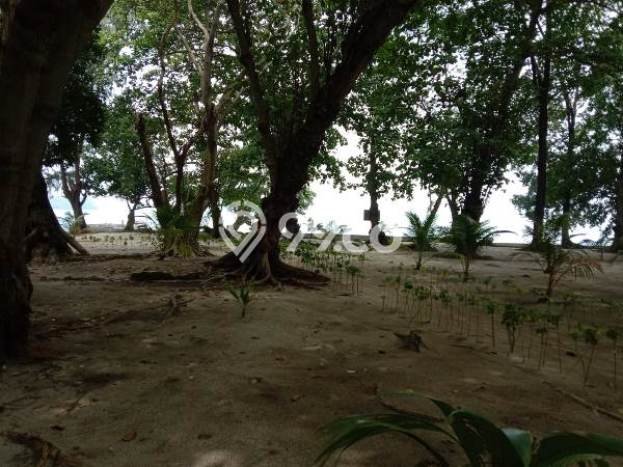Kavling Tanah di Kepulauan Seribu Utara Dijual Luas 110000m2 Legalitas - Kavling Tanah di Kepulauan Seribu Utara Dijual Luas 110000m2 Legalitas -