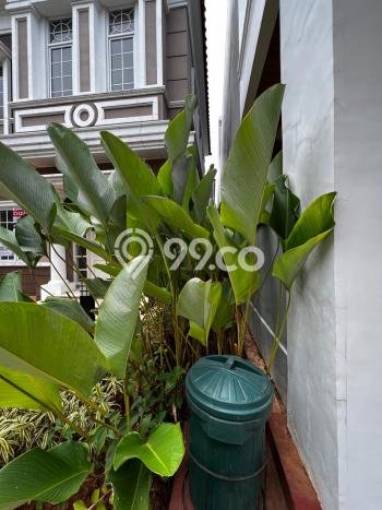 Rumah Elit Modern Tanpa Renovasi di Gading Serpong Tangerang Rumah Elit Modern Tanpa Renovasi di Gading Serpong Tangerang