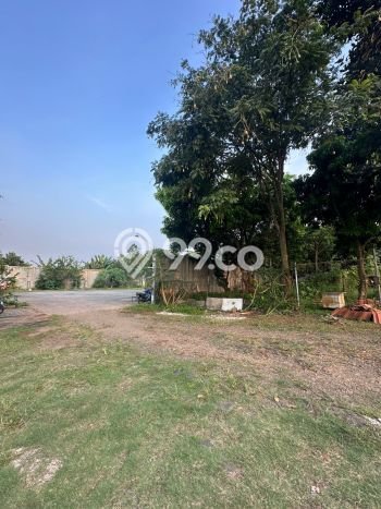 Lahan Investasi Lokasi Tapos Depok SHM Lahan Investasi Lokasi Tapos Depok SHM