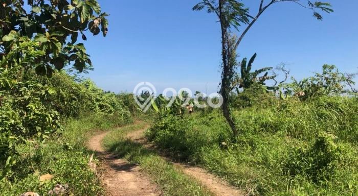 Jual Tanah Lokasi Prima di , Luas 1.5e+06m2m², Akses Fasilitas Umum Jual Tanah Lokasi Prima di , Luas 1.5e+06m2m², Akses Fasilitas Umum