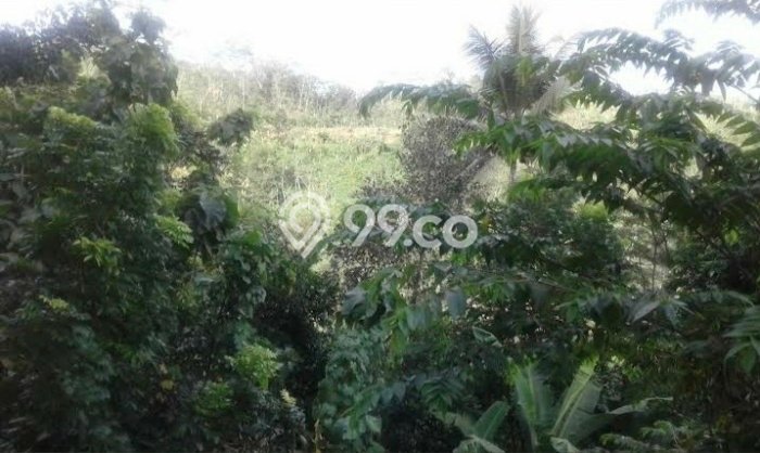 Jual Tanah Area Prospektif Kawasan , Luas 300000m2m², Akses Tangerang, Tangerang Jual Tanah Area Prospektif Kawasan , Luas 300000m2m², Akses Tangerang, Tangerang