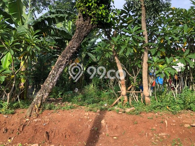 Jual Tanah Kawasan Bisnis di , Luas 500m2m², Ideal untuk Pengembangan Jual Tanah Kawasan Bisnis di , Luas 500m2m², Ideal untuk Pengembangan