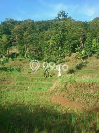 Tanah Kavling Dijual di Tangerang dengan Spesifikasi 50000m2 Tanah Kavling Dijual di Tangerang dengan Spesifikasi 50000m2