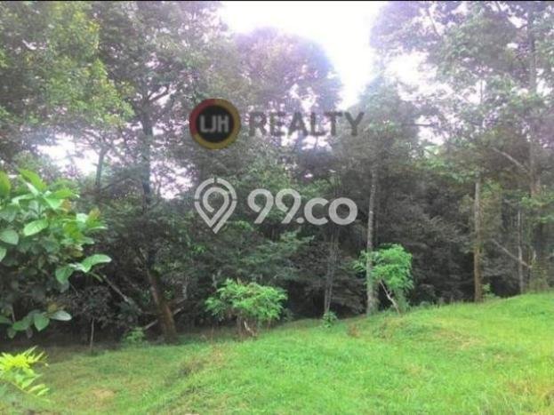 Tanah Dijual Lokasi Ungaran Barat, Semarang Luas 52540m2 Legalitas Aman Tanah Dijual Lokasi Ungaran Barat, Semarang Luas 52540m2 Legalitas Aman