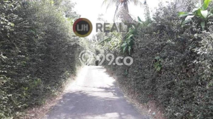Tanah Dijual Lokasi Ungaran Barat, Semarang Luas 52540m2 Legalitas Aman Tanah Dijual Lokasi Ungaran Barat, Semarang Luas 52540m2 Legalitas Aman