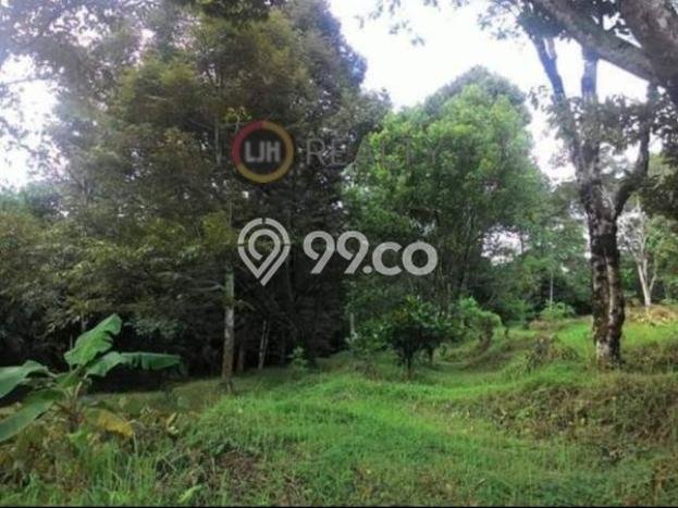 Tanah Dijual Lokasi Ungaran Barat, Semarang Luas 52540m2 Legalitas Aman Tanah Dijual Lokasi Ungaran Barat, Semarang Luas 52540m2 Legalitas Aman