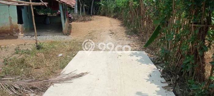 Kavling Tanah Dijual di Ciseeng, Bogor, Luas 7000m2 Area Strategis Kavling Tanah Dijual di Ciseeng, Bogor, Luas 7000m2 Area Strategis