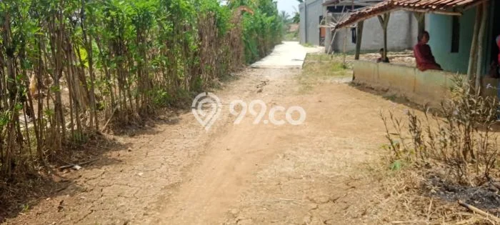 Kavling Tanah Dijual di Ciseeng, Bogor, Luas 7000m2 Area Strategis Kavling Tanah Dijual di Ciseeng, Bogor, Luas 7000m2 Area Strategis