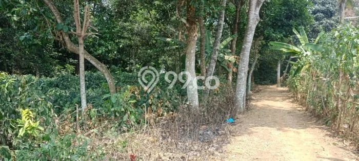 Kavling Tanah Dijual di Ciseeng, Bogor, Luas 7000m2 Area Strategis Kavling Tanah Dijual di Ciseeng, Bogor, Luas 7000m2 Area Strategis