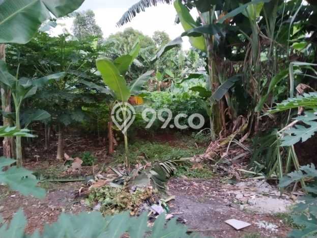 Jarang Ada! Tanah di Cimanggis Punya Luas 1100m2 SHM Jarang Ada! Tanah di Cimanggis Punya Luas 1100m2 SHM