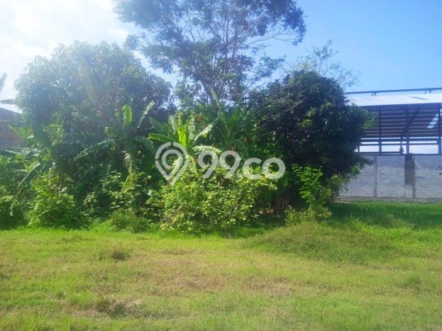 LOKASI STRATEGIS! Tanah Kawasan Berbah, Luas 8100m2m², Lokasi Potensial, Cocok untuk Investasi LOKASI STRATEGIS! Tanah Kawasan Berbah, Luas 8100m2m², Lokasi Potensial, Cocok untuk Investasi