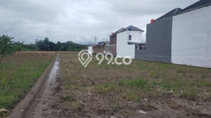 Tanah Kavling untuk Dijual di Kalasan Sleman 2575m2 Tanah Kavling untuk Dijual di Kalasan Sleman 2575m2