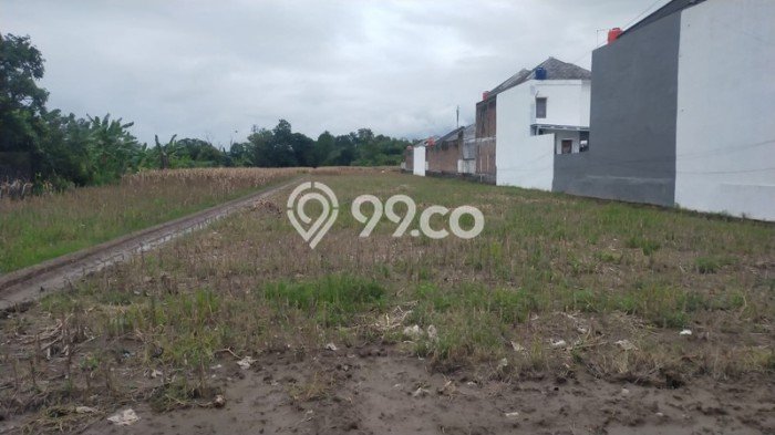 Tanah Kavling untuk Dijual di Kalasan Sleman 2575m2 Tanah Kavling untuk Dijual di Kalasan Sleman 2575m2