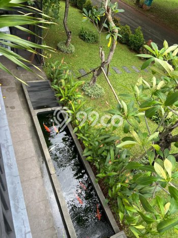 Dijual Rumah Luas Elegan Dengan View Eksklusif di BSD City, Tangerang Dijual Rumah Luas Elegan Dengan View Eksklusif di BSD City, Tangerang