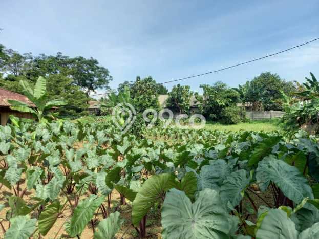 Tanah Dijual di Bogor Seluas 8682m2 Strategis Tanah Dijual di Bogor Seluas 8682m2 Strategis
