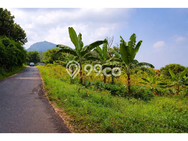 Tanah Dijual Lokasi Strategis di Bogor dengan Luas 3200m2 Tanah Dijual Lokasi Strategis di Bogor dengan Luas 3200m2