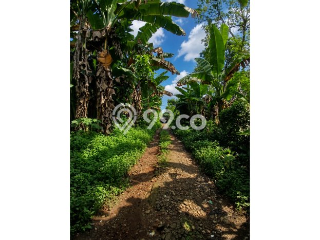 Dijual Tanah di Bogor, Luas 531m2 SHM Dijual Tanah di Bogor, Luas 531m2 SHM