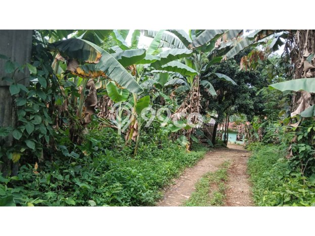 Dijual Tanah di Bogor, Luas 531m2 SHM Dijual Tanah di Bogor, Luas 531m2 SHM