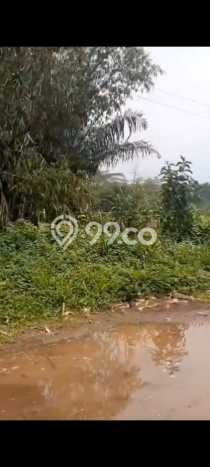 Jarang Ada! Tanah di Singaparna Punya Luas 1540m2 SHM Jarang Ada! Tanah di Singaparna Punya Luas 1540m2 SHM