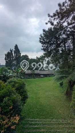Komersial Usaha Dijual di Megamendung Bogor LT 110000m2 & LB 10000m2 Komersial Usaha Dijual di Megamendung Bogor LT 110000m2 & LB 10000m2