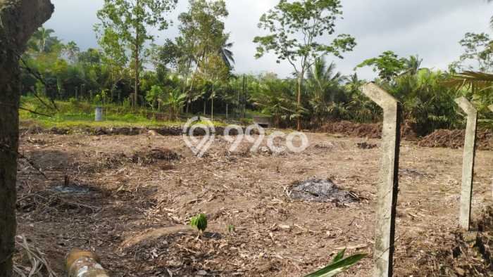 LOKASI STRATEGIS! Tanah Kawasan Turi, Luas 1326m², Lingkungan Asri, Cocok untuk Investasi LOKASI STRATEGIS! Tanah Kawasan Turi, Luas 1326m², Lingkungan Asri, Cocok untuk Investasi