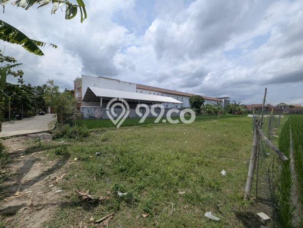Tanah Kavling Dijual di Bantul, Yogyakarta dengan Luas Tanah 770m2 Tanah Kavling Dijual di Bantul, Yogyakarta dengan Luas Tanah 770m2