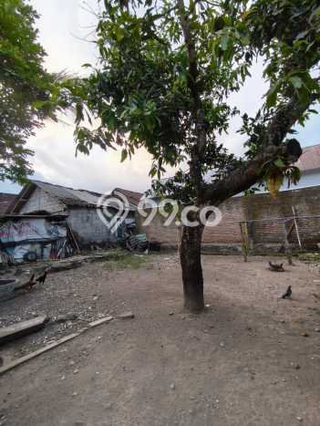 Tanah Kavling untuk Dijual di Sleman Sleman 100m2 Tanah Kavling untuk Dijual di Sleman Sleman 100m2