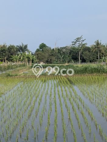 HOT DEAL! Tanah di Sleman, Luas 3022m², Area Premium HOT DEAL! Tanah di Sleman, Luas 3022m², Area Premium