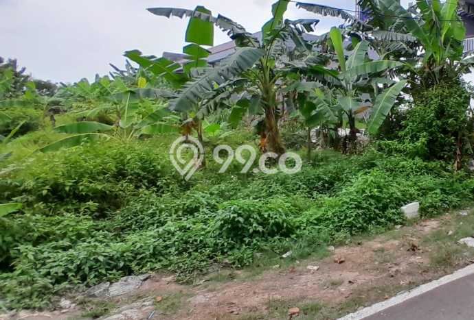 Lahan Kosong Dijual di Tembalang, Semarang, Luas 433m2 Area Strategis Lahan Kosong Dijual di Tembalang, Semarang, Luas 433m2 Area Strategis
