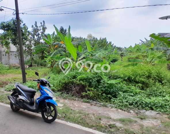 Lahan Kosong Dijual di Tembalang, Semarang, Luas 433m2 Area Strategis Lahan Kosong Dijual di Tembalang, Semarang, Luas 433m2 Area Strategis