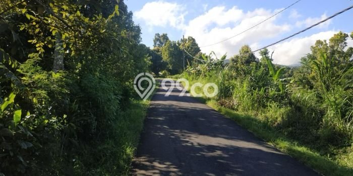 Dijual Tanah Lokasi Munduk, Buleleng Seluas 18600m2 Dijual Tanah Lokasi Munduk, Buleleng Seluas 18600m2