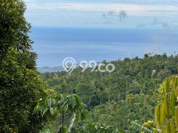 Dijual Tanah Lokasi Munduk, Buleleng Seluas 18600m2 Dijual Tanah Lokasi Munduk, Buleleng Seluas 18600m2