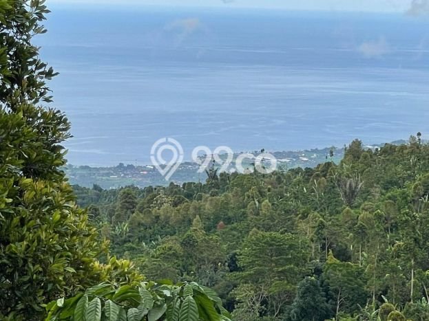 Dijual Tanah Lokasi Munduk, Buleleng Seluas 18600m2 Dijual Tanah Lokasi Munduk, Buleleng Seluas 18600m2