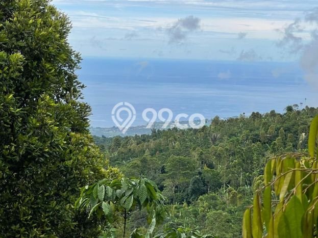 Dijual Tanah Lokasi Munduk, Buleleng Seluas 18600m2 Dijual Tanah Lokasi Munduk, Buleleng Seluas 18600m2