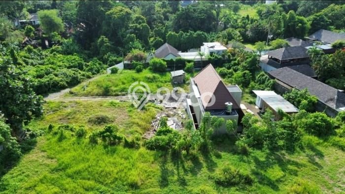 Tanah Investasi Dijual di Badung Punya Luas 2130m2 Tanah Investasi Dijual di Badung Punya Luas 2130m2