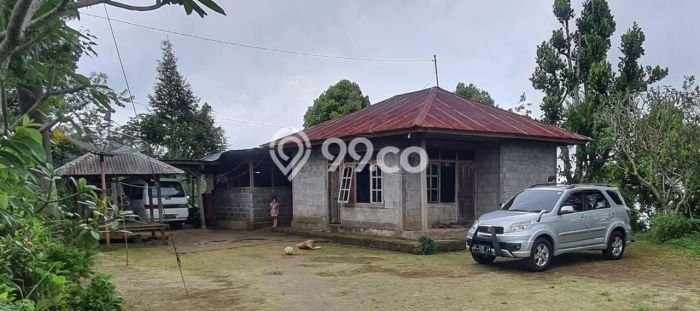 Dijual Tanah Lokasi Munduk, Buleleng Seluas 18600m2 Dijual Tanah Lokasi Munduk, Buleleng Seluas 18600m2